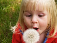 Dr. Andrzej Lewandowski, MHS, CCC-SLP/L, PEL, CCC-SLP, MHS